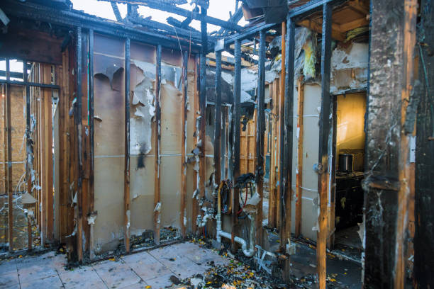 Professional Smoke Damage Removal technician working in Reynolds Heights, PA